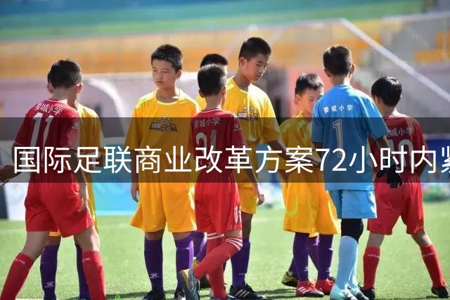 国际足联商业改革方案72小时内紧急叫停 创下足球管理史上罕见记录