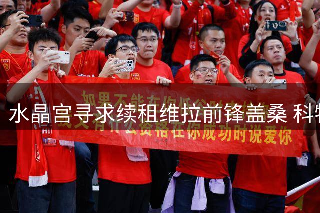 水晶宫寻求续租维拉前锋盖桑 科特迪瓦国脚或重返塞尔赫斯特公园