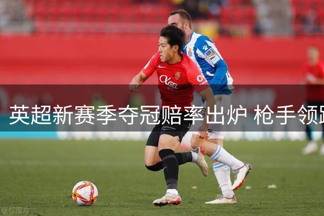 英超新赛季夺冠赔率出炉 枪手领跑众豪门